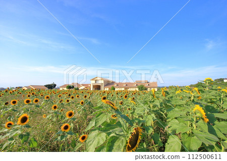 Kanagawa Prefecture, Yokosuka City, Soleil Hill 112500611