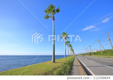 千葉縣袖浦市千葉福尼亞市 112500644