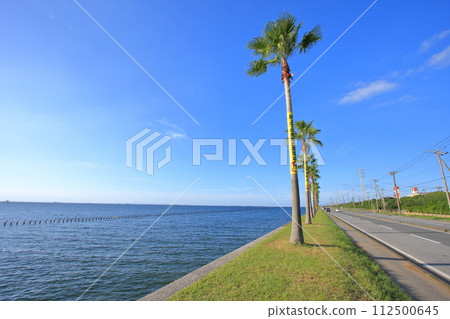 Chiba Prefecture, Sodegaura City, Chiba Fornia 112500645