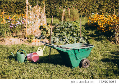 Watering cans and wheelbarrow standing on the earth. Gardening hobby concept. Outdoor gardening tools Watering cans and wheelbarrow standing on the earth. Gardening hobby concept. Outdoor gardening tools 112501061