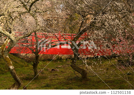 Bairin Red Bridge Bairin Red Bridge 112501138