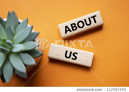About us symbol. Concept word About us on wooden blocks. Beautiful orange background with succulent plant. Business and About us concept. Copy space 112501543