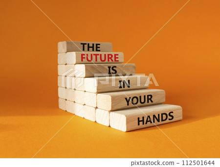 The Future is in your Hands symbol. Concept words The Future is in your Hands on wooden blocks. Beautiful orange background. Business concept. Copy space. 112501644