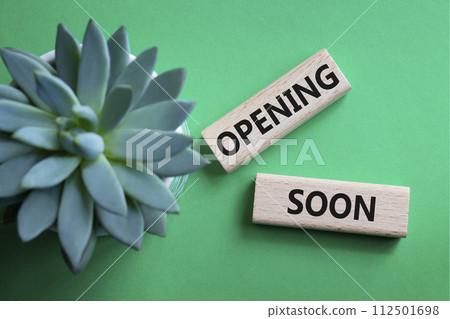 Opening soon symbol. Concept word Opening soon on wooden blocks. Beautiful green background with succulent plant. Business and Opening soon concept. Copy space 112501698