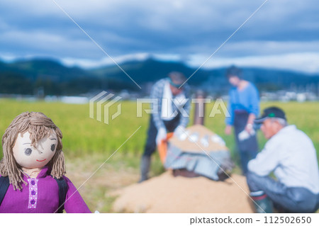 A scarecrow left in a rice paddy after rice harvesting A scarecrow left in a rice paddy after rice harvesting 112502650