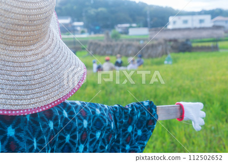 A scarecrow left in a rice paddy after rice harvesting 112502652