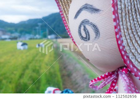 A scarecrow left in a rice paddy after rice harvesting A scarecrow left in a rice paddy after rice harvesting 112502656