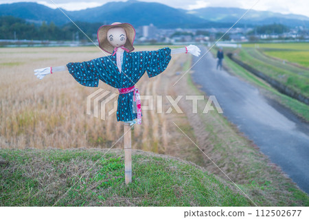 A scarecrow left in a rice paddy after rice harvesting 112502677