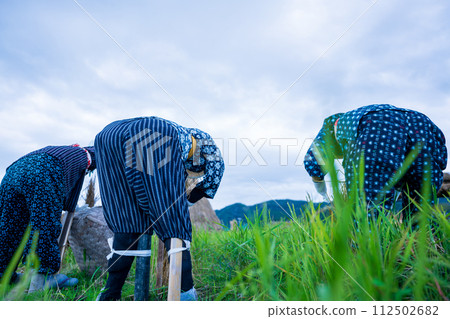 水稻收割後留在稻田裡的稻草人 112502682