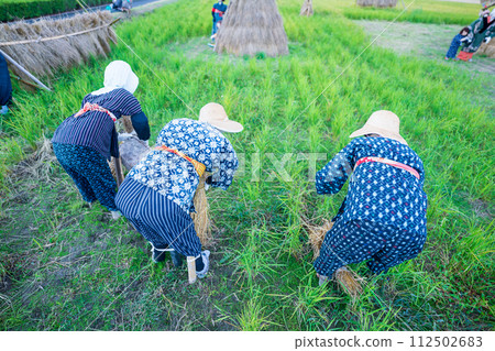 A scarecrow left in a rice paddy after rice harvesting A scarecrow left in a rice paddy after rice harvesting 112502683
