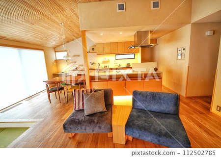 Stylish living of a pet living designer house Stylish living of a pet living designer house 112502785