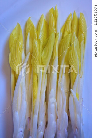 野菜 Yuki Urui Urui 112503078