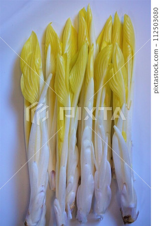 Wild vegetables Yuki Urui Urui Wild vegetables Yuki Urui Urui 112503080