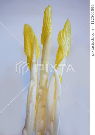 Wild vegetables Yuki Urui Urui Wild vegetables Yuki Urui Urui 112503096