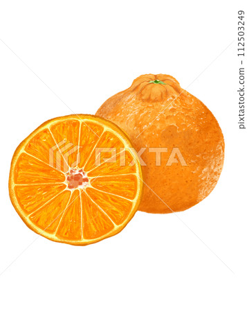 Dekopon (1 and a half) Dekopon (1 and a half) 112503249