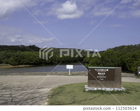Yanbaru National Park Kesashi Bay Mangrove 112503614