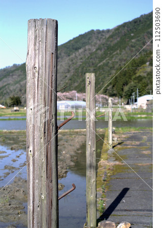 rice field edge 112503690