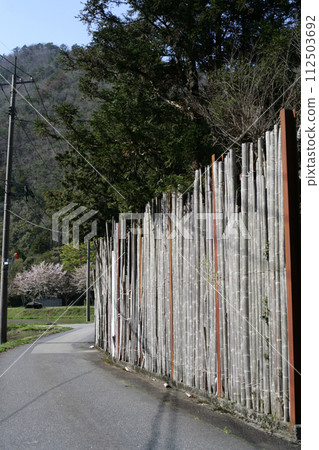 Bamboo Tsukiji fence Bamboo Tsukiji fence 112503692