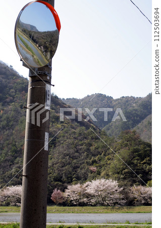 Spring Satoyama Curved Mirror Spring Satoyama Curved Mirror 112503694