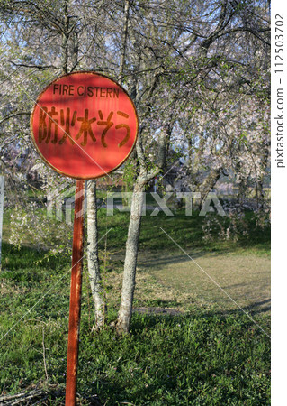 Weeping cherry blossoms and rusty signboard Weeping cherry blossoms and rusty signboard 112503702