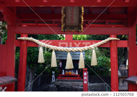 Torii and Shimenawa at the shrine 112503708