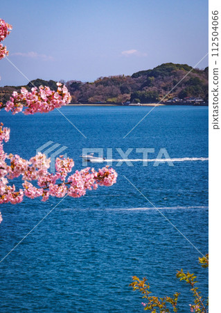 河津櫻花和瀨戶內海風光 112504066