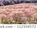 花桃之裡盛開的里山風景 112504572