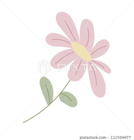 A single flower on a white background. A single flower on a white background. 112504977