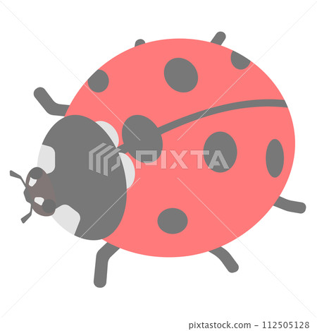 Ladybug illustration Ladybug illustration 112505128