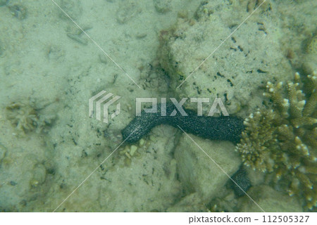 Kainai Island near Phuket 112505327