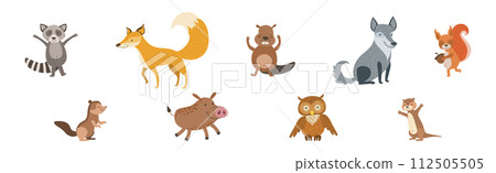 Cute Woodland Animal and Wild Fauna Vector Set 112505505