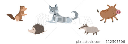 Cute Woodland Animal and Wild Fauna Vector Set 112505506