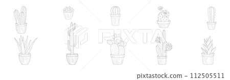 Cactus Succulent Plant Growing in Pot Linear Vector Set 112505511