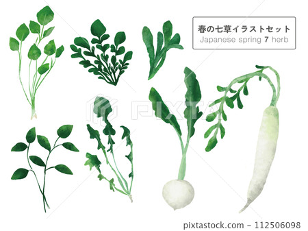 Illustration set of spring herbs Illustration set of spring herbs 112506098