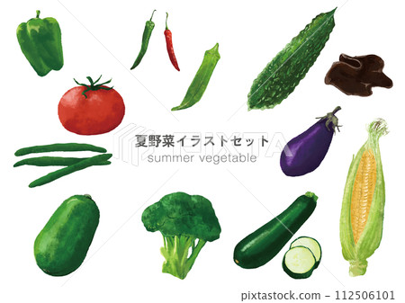 夏季時令蔬菜插圖集 夏季時令蔬菜插圖集 112506101