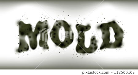 Mold lettering on the wall vector realistic Mold lettering on the wall vector realistic 112506102