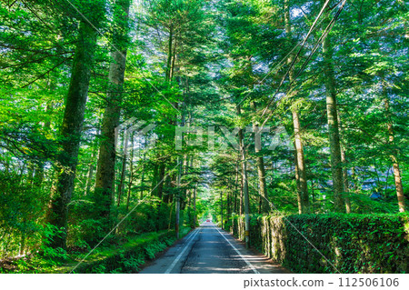 夏天的輕井澤,安靜的別墅區 夏天的輕井澤,安靜的別墅區 112506106