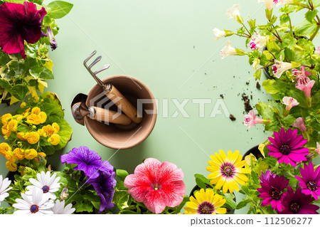 Flowers on a green background 112506277