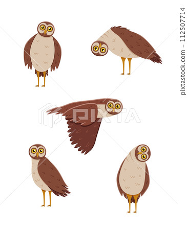 Set of cute funny owl with tilted leaned head, in flight. Vector illustration of cartoon forest night birds. Set of cute funny owl with tilted leaned head, in flight. Vector illustration of cartoon forest night birds. 112507714