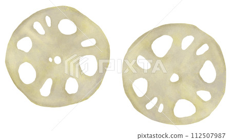 Illustration of sliced lotus root Illustration of sliced lotus root 112507987
