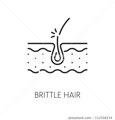 Brittle hair treatment, woman health, skin care line icon. Hair health, styling and grow, spa salon treatment product thin line vector pictogram with brittle hair follicle in skin layer Brittle hair treatment, woman health, skin care line icon. Hair health, styling and grow, spa salon treatment product thin line vector pictogram with brittle hair follicle in skin layer 112508234