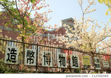 Mint Museum and Cherry Blossoms 112508369