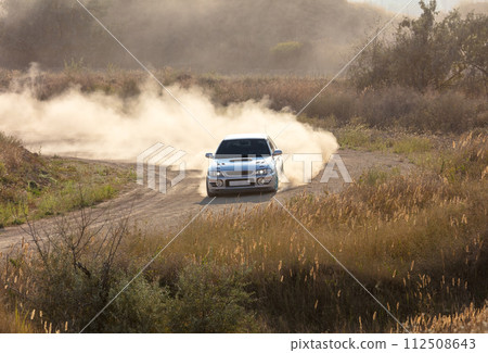 Rally Car in a Turn and a Cloud of Dust 28 112508643
