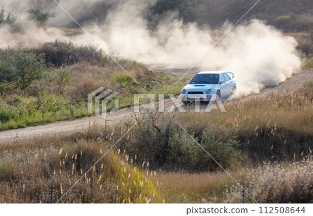 Rally Car in a Turn and a Cloud of Dust 29 112508644