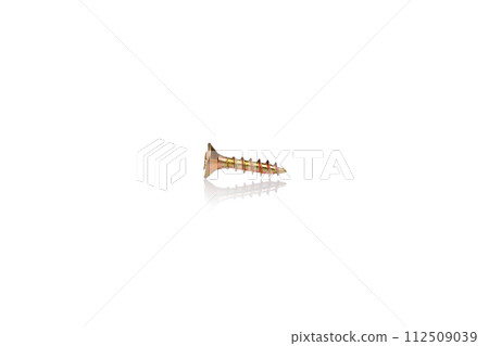 macro screw of golden color on a white background 112509039