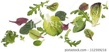 Salad leaves mix isolated, falling green salad with rucola, lettuce, chard, spinach and beets leaves on white background 112509218