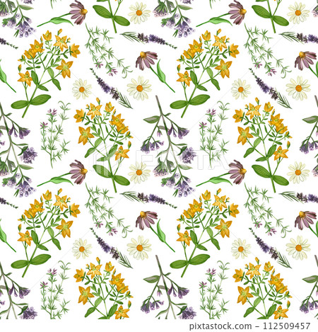 Watercolor pattern. Meadow grasses and flowers echinacea, hypericaceae, heather, chamomile, oregano hand drawn in watercolor. Suitable for printing on paper, fabric, scrapbooking, design, textiles. Watercolor pattern. Meadow grasses and flowers echinacea, hypericaceae, heather, chamomile, oregano hand drawn in watercolor. Suitable for printing on paper, fabric, scrapbooking, design, textiles. 112509457