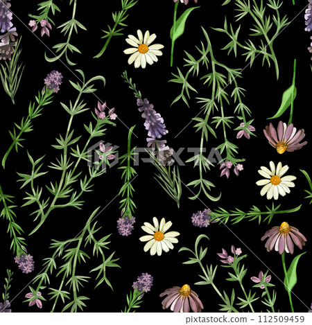 Watercolor pattern on a dark background. Meadow grasses and flowers echinacea, heather, chamomile, oregano hand-drawn in watercolor. For printing on paper, fabric, scrapbooking, design, textiles. Watercolor pattern on a dark background. Meadow grasses and flowers echinacea, heather, chamomile, oregano hand-drawn in watercolor. For printing on paper, fabric, scrapbooking, design, textiles. 112509459