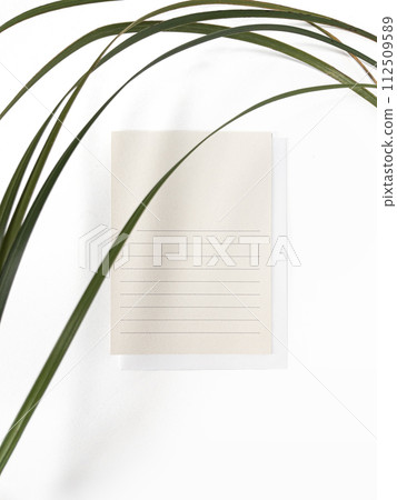 Postcard greeting card empty template top view flat lay with blade of grass on white background minimalism Postcard greeting card empty template top view flat lay with blade of grass on white background minimalism 112509589