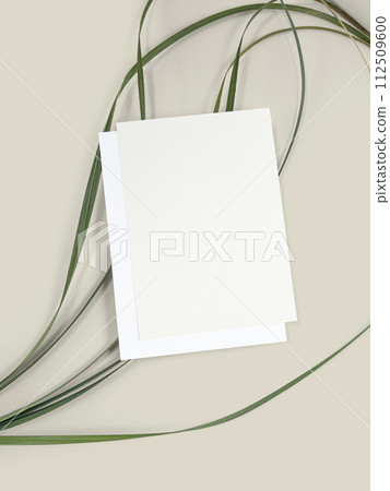 Postcard greeting card empty template top view flat lay with blade of grass on beige background minimalism Postcard greeting card empty template top view flat lay with blade of grass on beige background minimalism 112509600